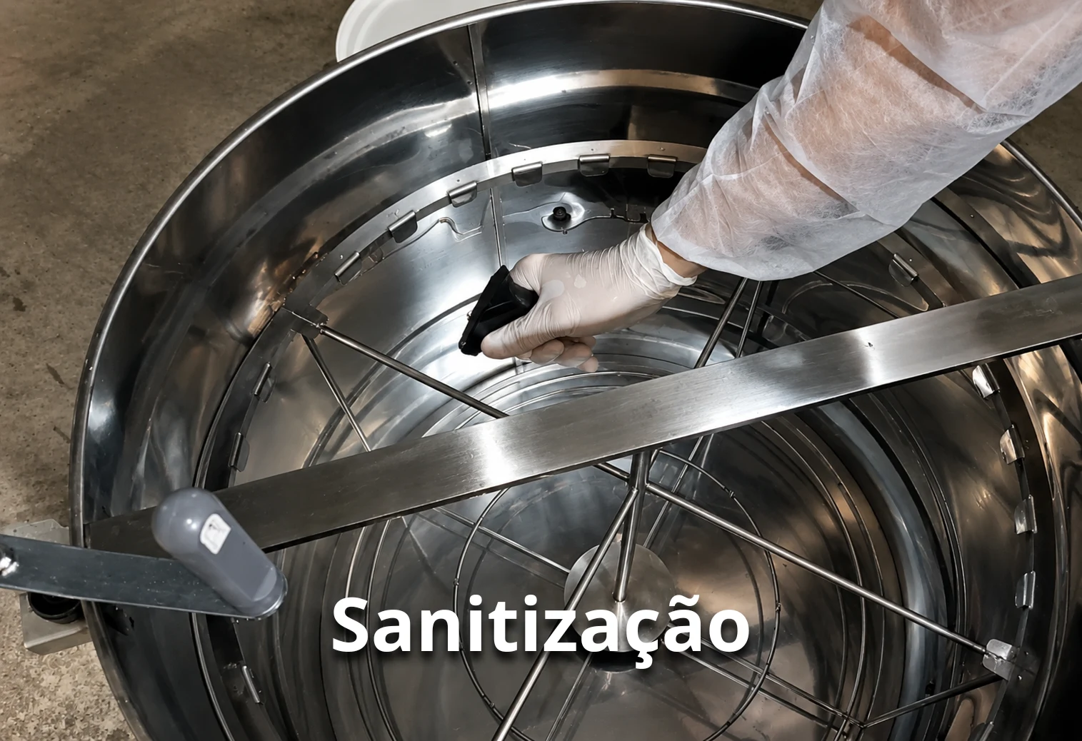 Sanitização